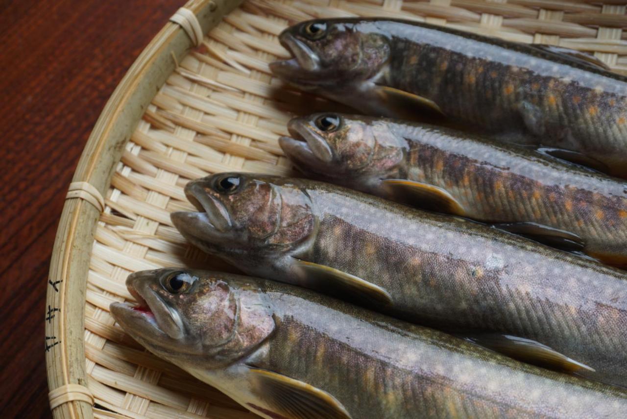 Shiroyamakan Shirakawa  Ngoại thất bức ảnh