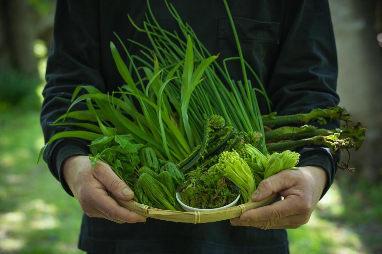 Shiroyamakan Shirakawa  Ngoại thất bức ảnh