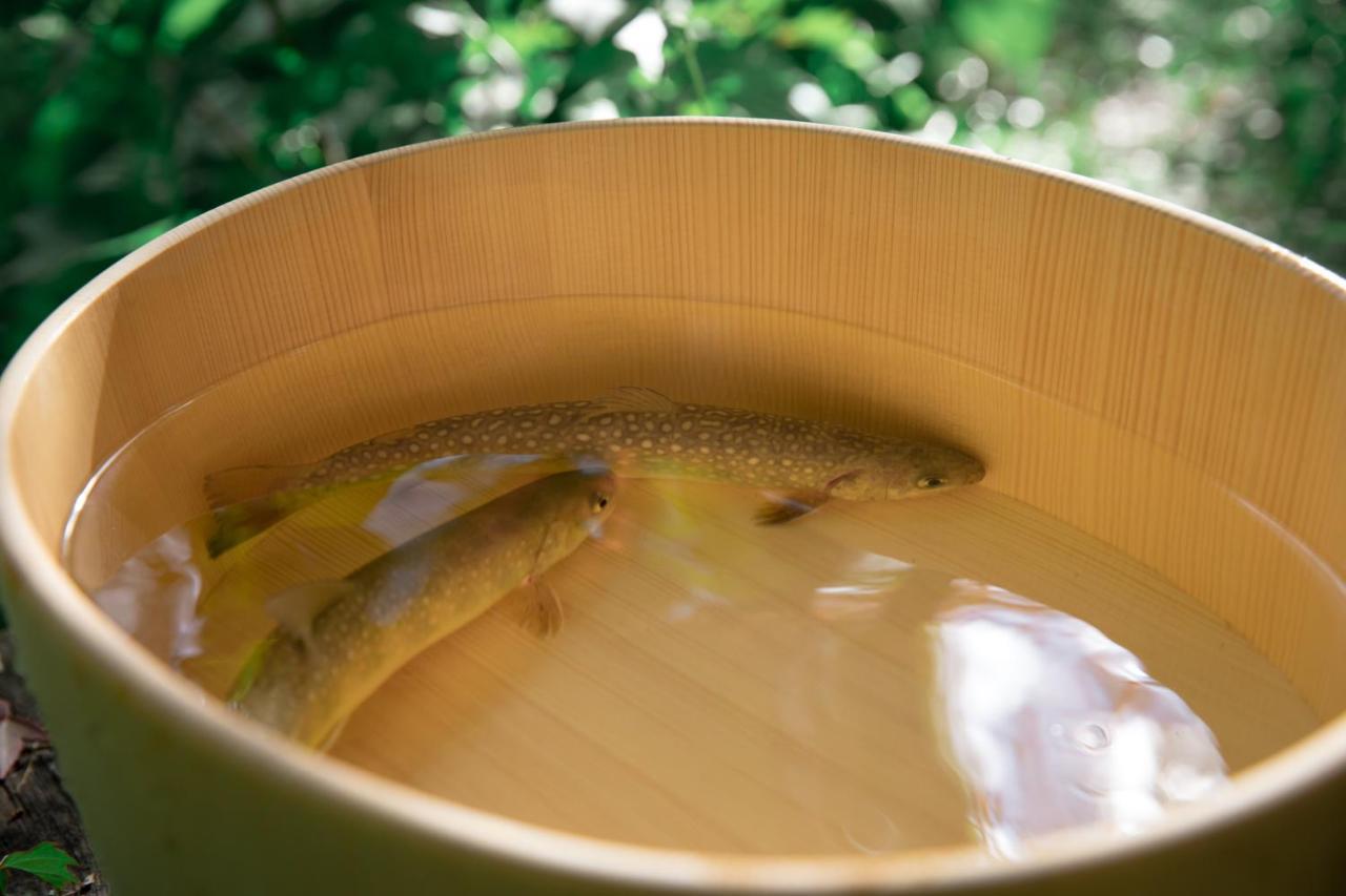 Shiroyamakan Shirakawa  Ngoại thất bức ảnh